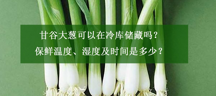 甘谷大蔥可以在冷庫儲(chǔ)藏嗎？保鮮溫度、濕度及時(shí)間是多少？