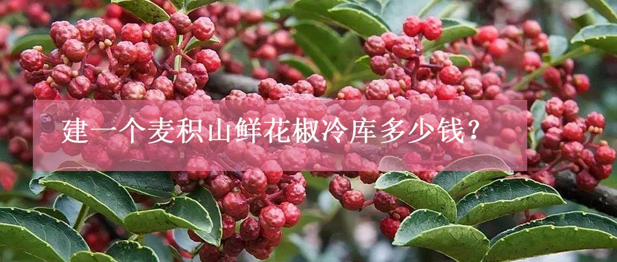 建一個麥積山鮮花椒冷庫多少錢？