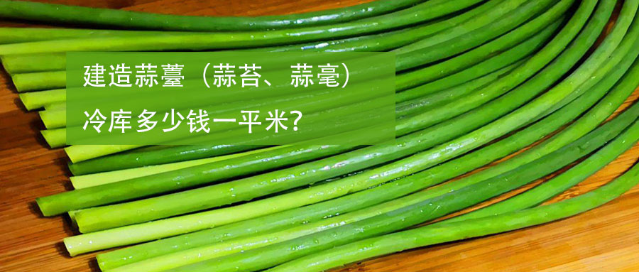 建造蒜薹（蒜苔、蒜毫）冷庫(kù)多少錢(qián)一平米？