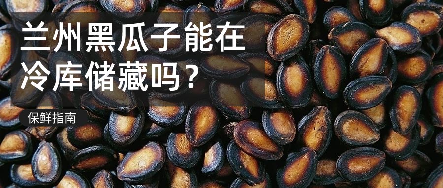 蘭州黑瓜冷庫儲(chǔ)藏