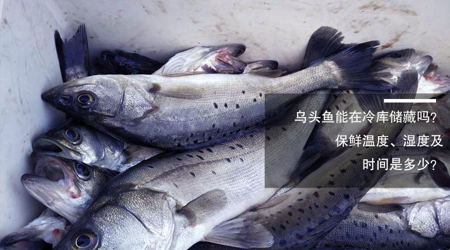 烏頭魚(yú)冷庫(kù)儲(chǔ)藏溫度、相對(duì)濕度及貯藏時(shí)間介紹