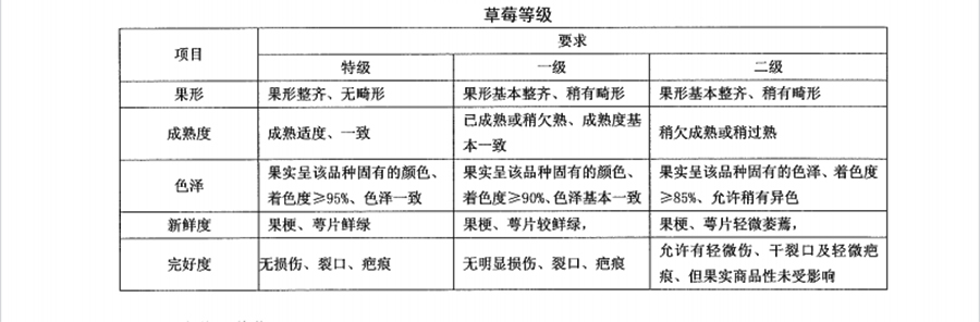 草莓的等級標準