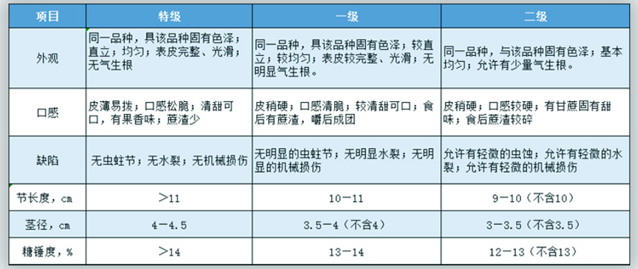 甘蔗放冷庫前分級