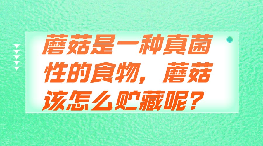 蘑菇是一種真菌性的食物，蘑菇該怎么貯藏呢？