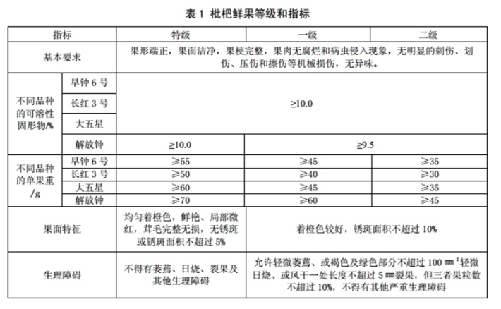 枇杷放冷庫(kù)前等級(jí)標(biāo)準(zhǔn)