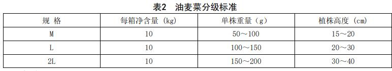 油麥菜分級(jí)標(biāo)準(zhǔn)