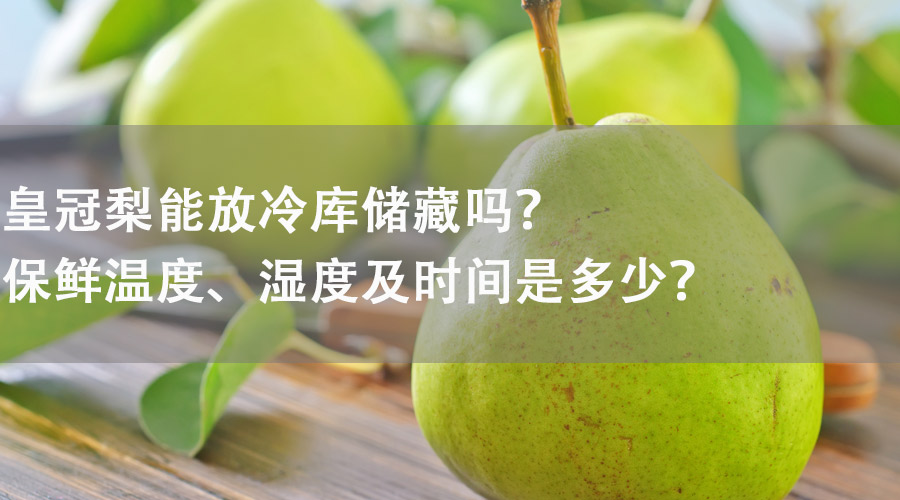 皇冠梨能在冷庫儲(chǔ)藏嗎？保鮮溫度、濕度及時(shí)間是多少？