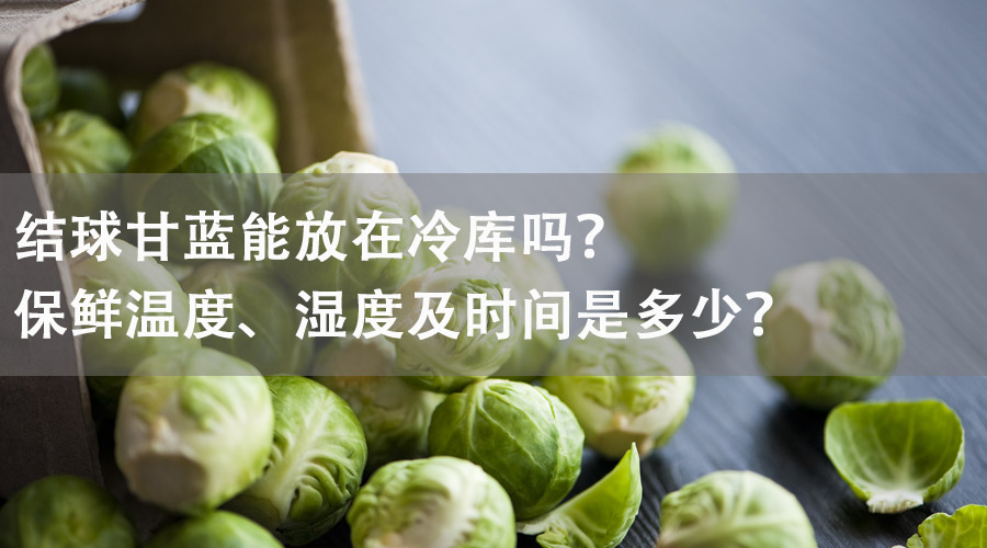 結球甘藍能放在冷庫嗎？保鮮溫度、濕度及時間是多少？