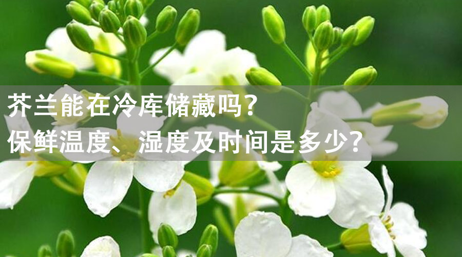 芥蘭能在冷庫儲(chǔ)藏嗎？保鮮溫度、濕度及時(shí)間是多少？