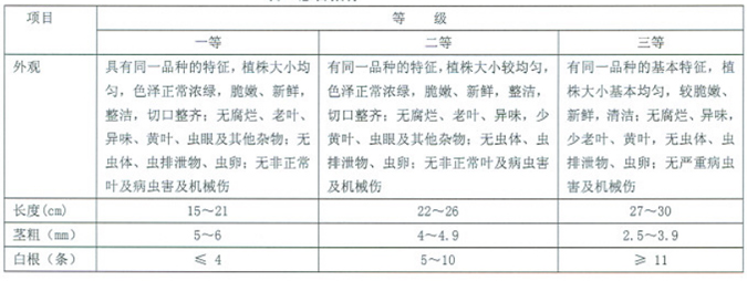 豆瓣菜分級標(biāo)準(zhǔn).jpg