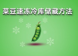 四季豆（菜豆）速凍冷庫(kù)儲(chǔ)藏方法詳解，保鮮時(shí)間1年不變質(zhì)！