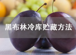 黑布林貯藏方法介紹！冷庫保鮮3個(gè)月不壞